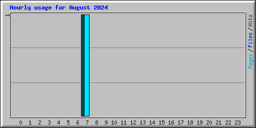 Hourly usage for August 2024