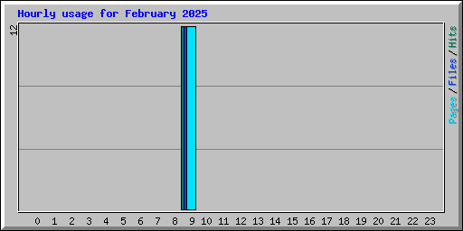 Hourly usage for February 2025