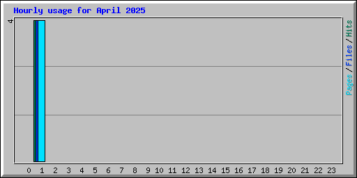 Hourly usage for April 2025