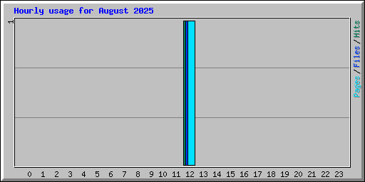 Hourly usage for August 2025