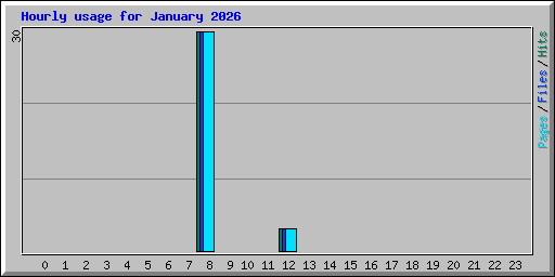 Hourly usage for January 2026